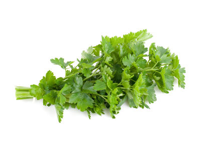 PARSLEY SEED OIL - Essential Oils